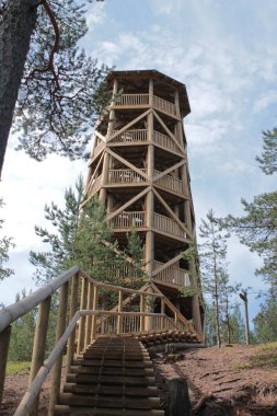 Estonya'da bir orman turist izi üzerinde Gözlem kulesi.