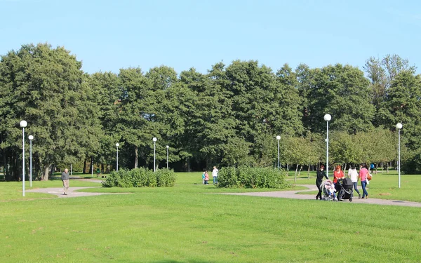 Люди прогуливаются в осеннем парке. В кадре пожилой человек — стоковое фото