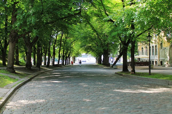 Σκιώδες δρομάκι. Cobblestone δρόμο κάτω από τη σκιά των πράσινων δέντρων. — Φωτογραφία Αρχείου