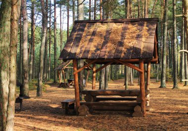 Turist tatili için orman koruluğu. Sonbahar manzarası.