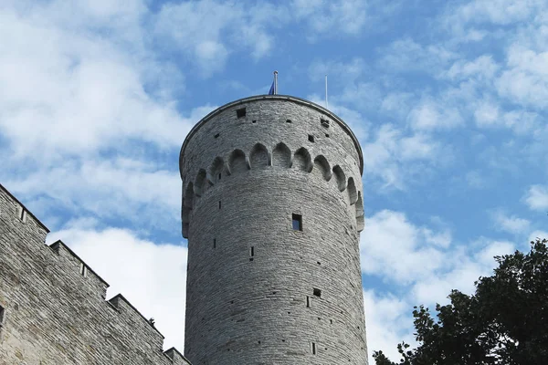 Mittelalterlicher Turm langer Herman mit einem Fragment der Festungsmauer. — Stockfoto