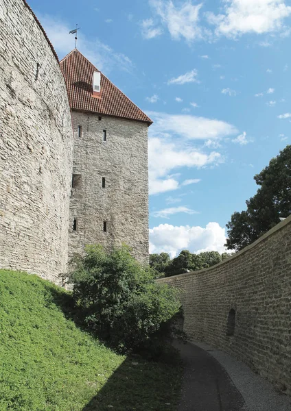 Fragmento de uma muralha medieval com uma torre de pedra . — Fotografia de Stock