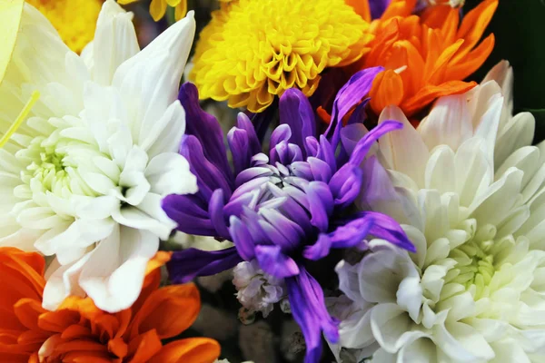 Un bouquet de fleurs colorées avec une teinte émeraude — Photo