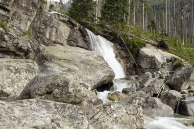 Büyük kayaların üzerinden akan dağ şelalesi. Arka planda kırık ağaçlar. High Tatras, Slovakya.