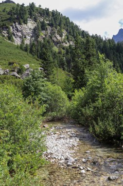 Şelaleli yüksek dağ gölü. Ön planda küçük çam ağaçları. Arka planda bulutlar yüksek kayalar.