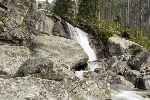 Cachoeira de montanha fluindo sobre rochas maciças. Árvores partidas no fundo. High Tatras, Eslováquia . — Fotografia de Stock