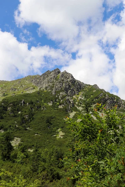 Veduta delle cime delle montagne in estate negli Alti Tatra con cielo nuvoloso . — Foto Stock