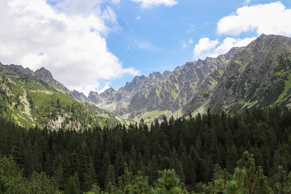 Veduta delle cime delle montagne in estate negli Alti Tatra con cielo nuvoloso . — Foto Stock