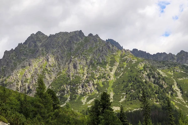 Widok na szczyty górskie w okresie letnim w Tatrach Wysokich z zachmurzonego nieba — Zdjęcie stockowe