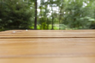 Ağaçların bir arka plan önünde kahverengi bir tablo