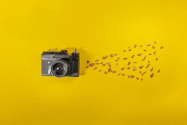 An analog camera laying on a yellow surface with rocks