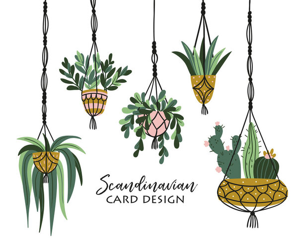 Stylish card with potted plants