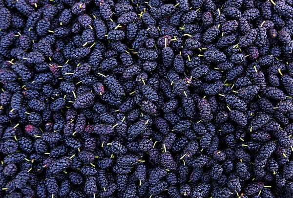 Many Ripe Mulberry Berries Fruit Texture — Stock Photo, Image