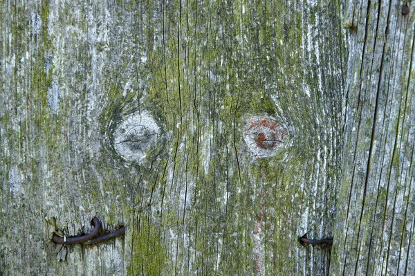 Textuur Van Het Oude Bestuur Met Knopen Maakt Abstracte Beelden — Stockfoto