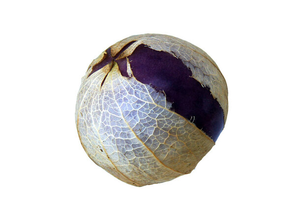 Fruit of Cape gooseberry or physalis isolated on white background