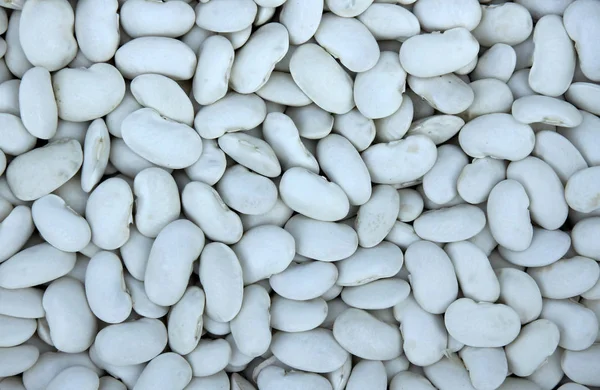 自然の背景に白い乾燥豆 野生豆 によって形成されたテクスチャ — ストック写真