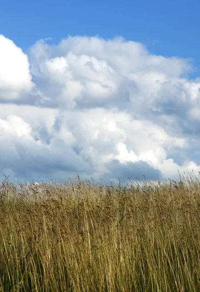 Hermosas Nubes Blancas Sobre Estepa Verano —  Fotos de Stock