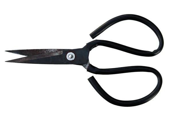 Vintage Iron Scissors Isolated White Background — Stock Photo, Image