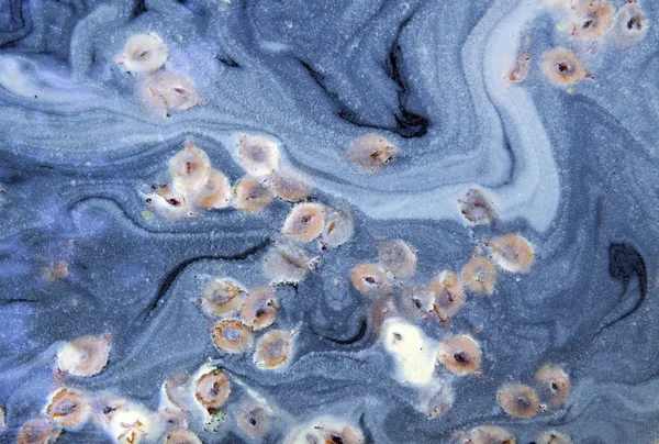 Impresszionizmus Természet Pollen Száraz Növényi Magvak Formájában Egy Csodálatos Kép — Stock Fotó