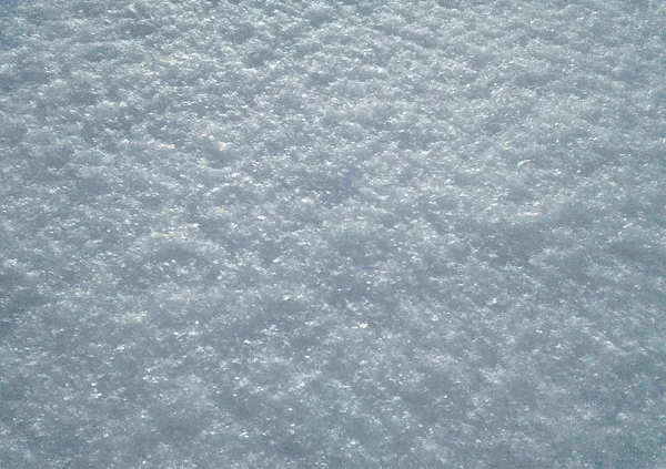Trockener Schnee Bedeckt Die Oberfläche Des Bodens — Stockfoto