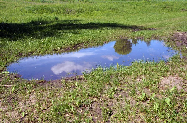 Зеркальное Отражение Луже После Весеннего Дождя Пейзаж — стоковое фото