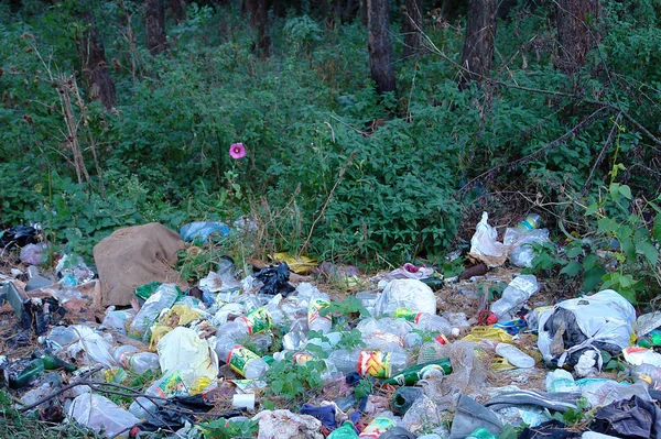 森林附近的垃圾 — 图库照片