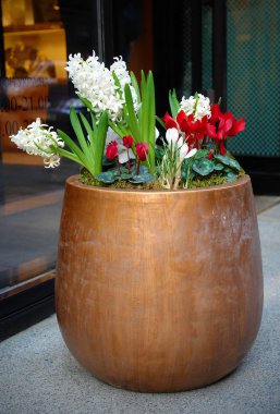 Bahar çiçekleri bir seramik tencere