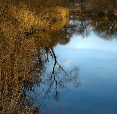 Sonbahar akşam peyzaj