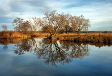 Sonbahar akşam peyzaj 