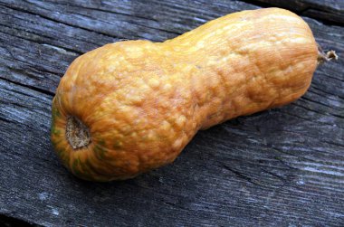 Güzel dekoratif kabaklar