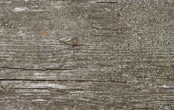 Placa de madeira como fundo ou textura — Fotografia de Stock