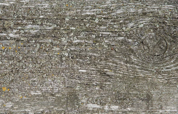 Дерев'яна дошка як фон або текстура — стокове фото