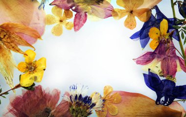 Kuru çiçeklerden oluşan çiçek çerçevesi