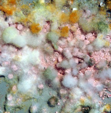 Kalıplar tarafından yaratılmış tuhaf soyut bir resim.