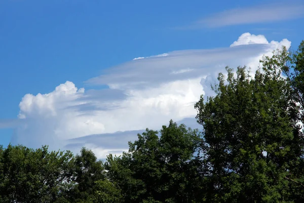 Gyönyörű Kifejező Felhők Fák Tetején Nyáron — Stock Fotó