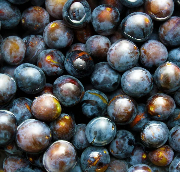 Plums Float Surface Water Form Beautiful Natural Texture — Stock Photo, Image