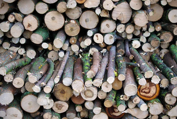 Stockpile Firewood Neatly Stacked Preparation Winter Texture Fragment Background — Stock Photo, Image