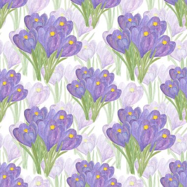El çizilmiş suluboya çiğdem dikişsiz pettern, herhangi bir durum için bahar çiçek süs