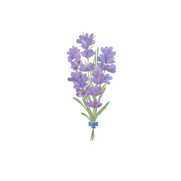 Lavender flowers bouquet on the white background