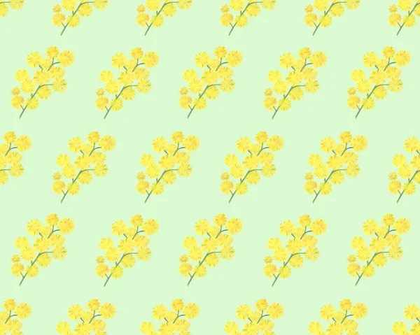 Mimosa2 Blume nahtlose Muster hellgrün bcg — Stockfoto