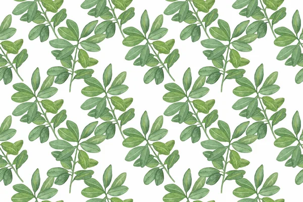 Ficus hazai növény varrat nélküli pattern2 — Stock Fotó