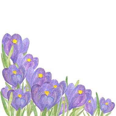 Flower corner border