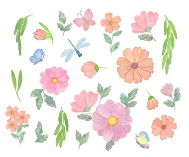 Tasarım oluşturma için izole el çizilmiş suluboya pembe çiçek elemanları bir dizi, beyaz arka plan, suluboya botanik illüstrasyon izole nesne