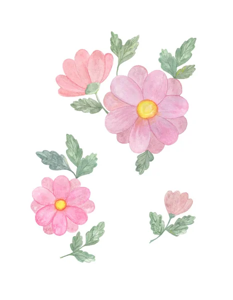 Akwarelowe różowe kwiaty Vintage — Zdjęcie stockowe