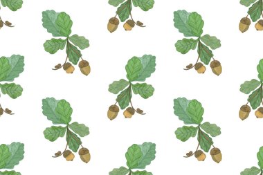 Meşe yaprakları pürüzsüz.