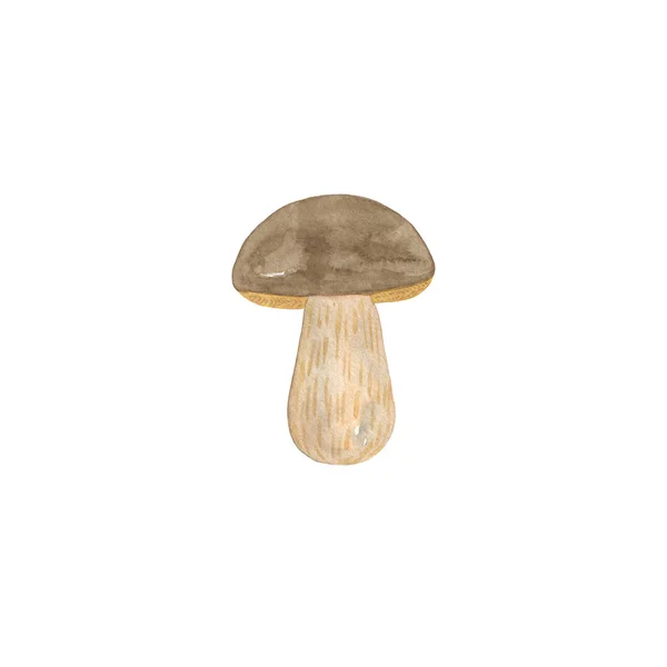 Brown mushroom, forest illustration — Stock Photo, Image