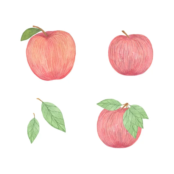 Kırmızı lezzetli elma seti, suluboya el çizilmiş illüstrasyon, sembol — Stok fotoğraf