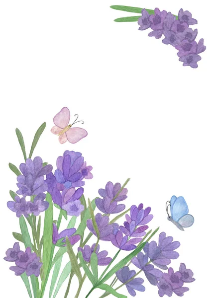 Вручную нарисованные акварелью лавандовые цветы и бабочки карточка layo — стоковое фото