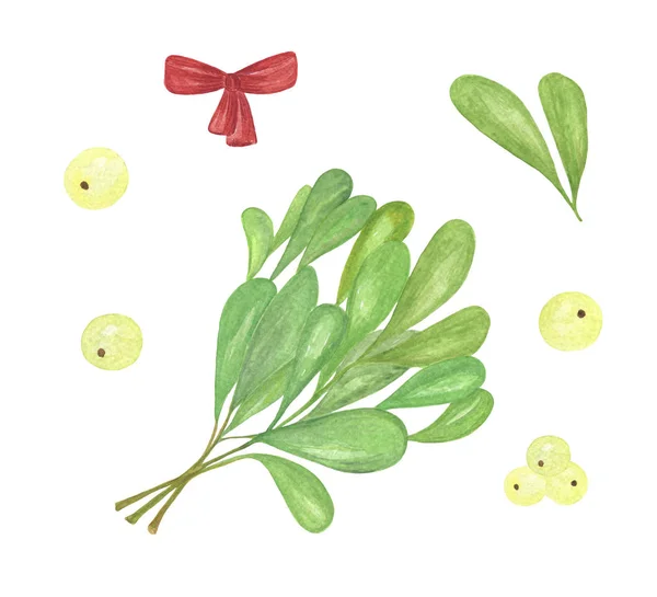 Watercolor traditional Christmas mistletoe plant elements, ornament for greeting cards making, invitations, Merry Christmas and Happy New Year pattern