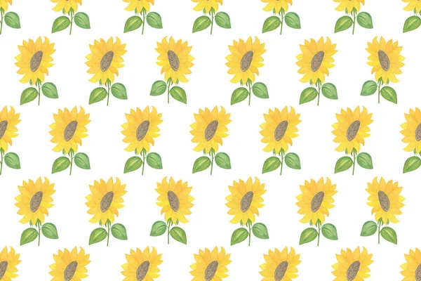 Florale Illustration der Sonnenblume in lebendigen Farben auf dem weißen Hintergrund, Muster wiederholen, saisonale Aquarell-Illustration — Stockfoto